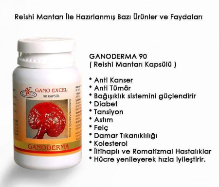 GANODERMA 90 (KAPSÜL) 90ad